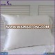 Multifunctional Colorful Soft 100% Pure Silk Pillow Cover