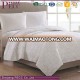 B-027 Promotional Luxury New Coming Bulk Wholesale Fleece Heavy Blanket